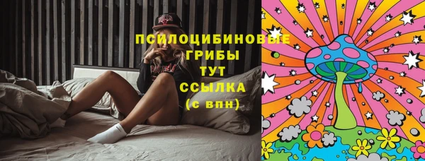 прущий лед Белокуриха