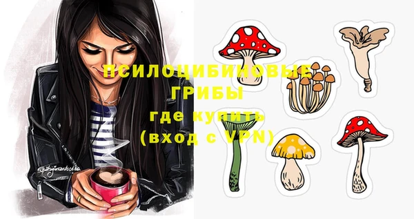 не бодяженный Беломорск