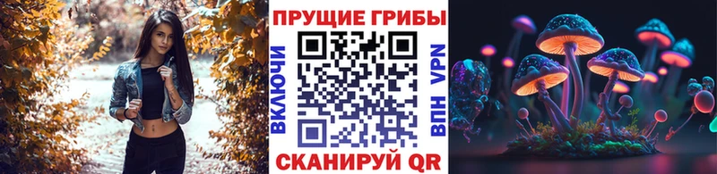 Псилоцибиновые грибы Psilocybine cubensis  кракен рабочий сайт  Дигора  купить  цена 